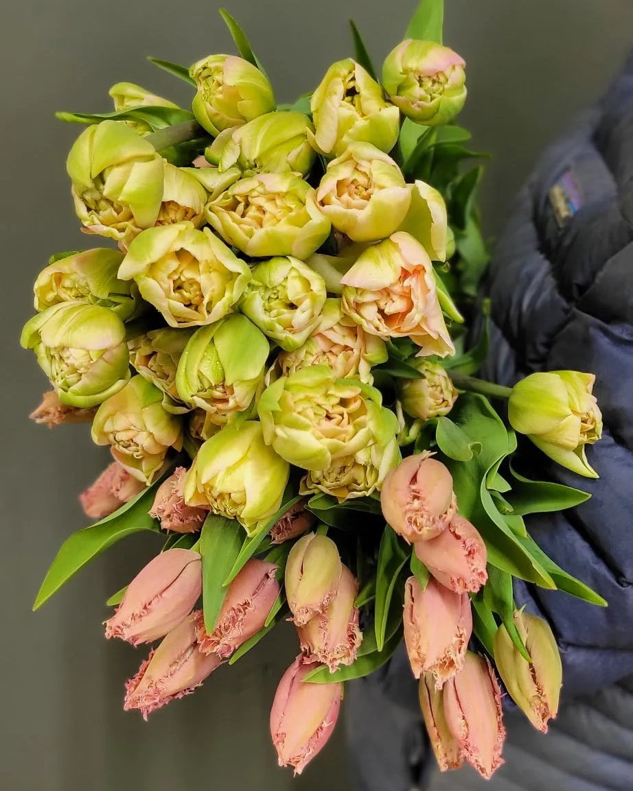 2026 Fancy Tulip Subscription, bouquet subscription from Bellingham Flower Farm, another view