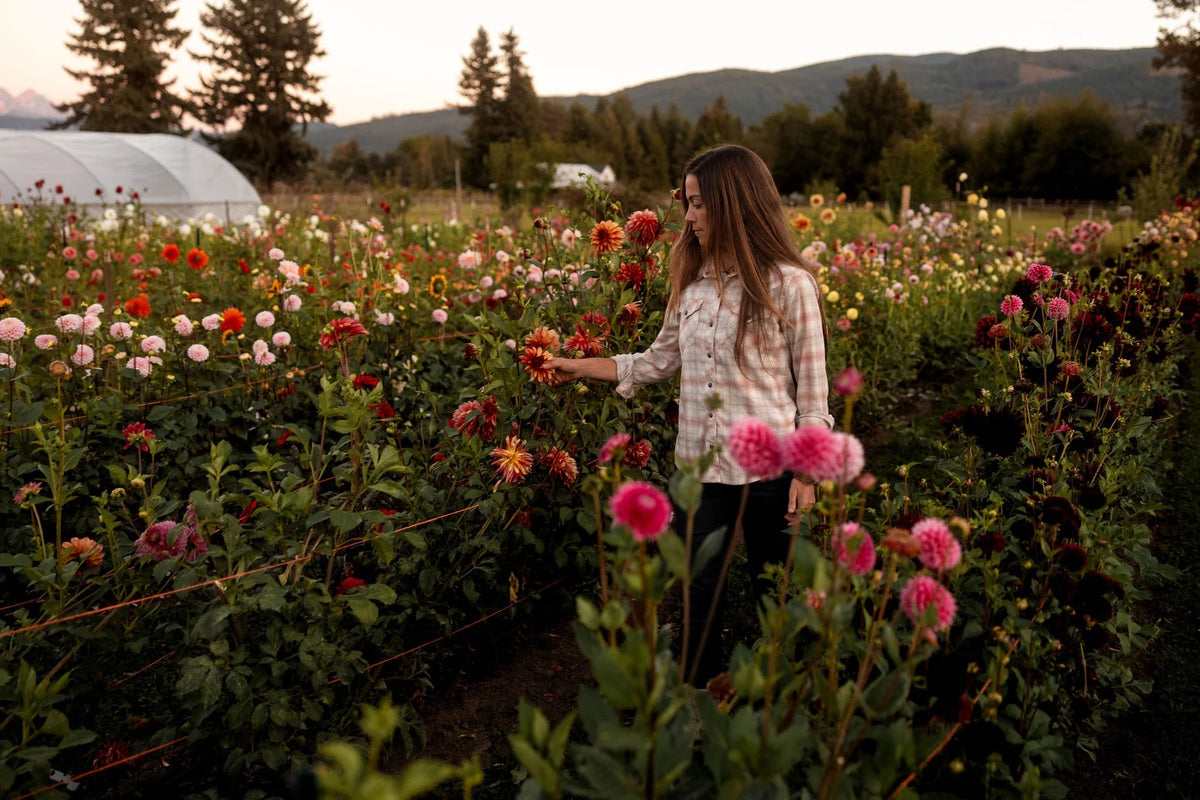 Mother's Day on the Farm at Bellingham Flower Farm, additional photo