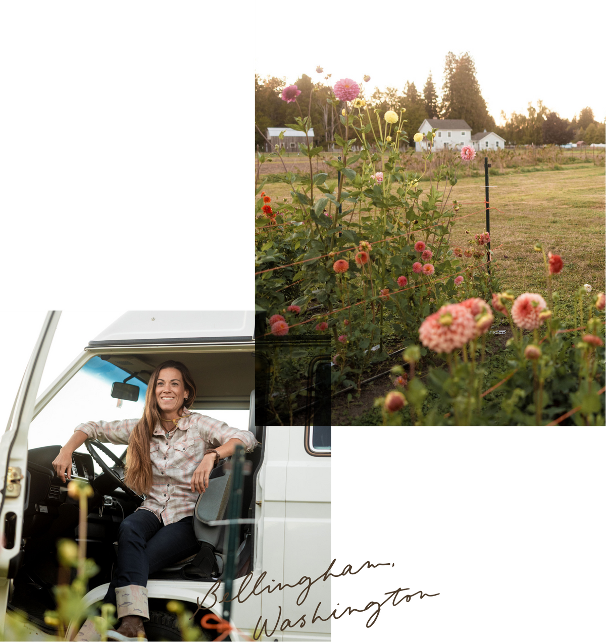 A collage-style travel photo featuring a woman sitting in the driver's seat of a white van, with a second inset photo of pink and red flowers in a field at sunset. The text 'Bellingham, Washington' appears in cursive at the bottom right.