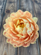 A large peach and pale yellow dahlia flower photographed from above on a rustic wooden surface.