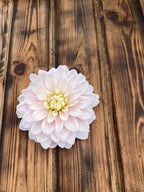 Silver Years dahlia flower, another view of the bloom