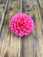 Rebecca Lynn dahlia flower, another view of the bloom