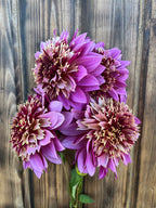 A bouquet of blooming purple dahlia flowers with cream and burgundy variegated centers, set against a rustic dark wood plank background.