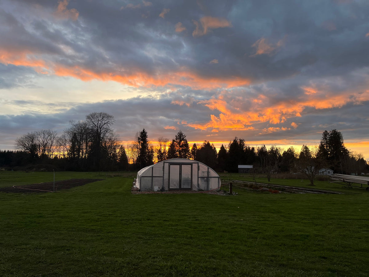 Mother's Day on the Farm at Bellingham Flower Farm, additional photo