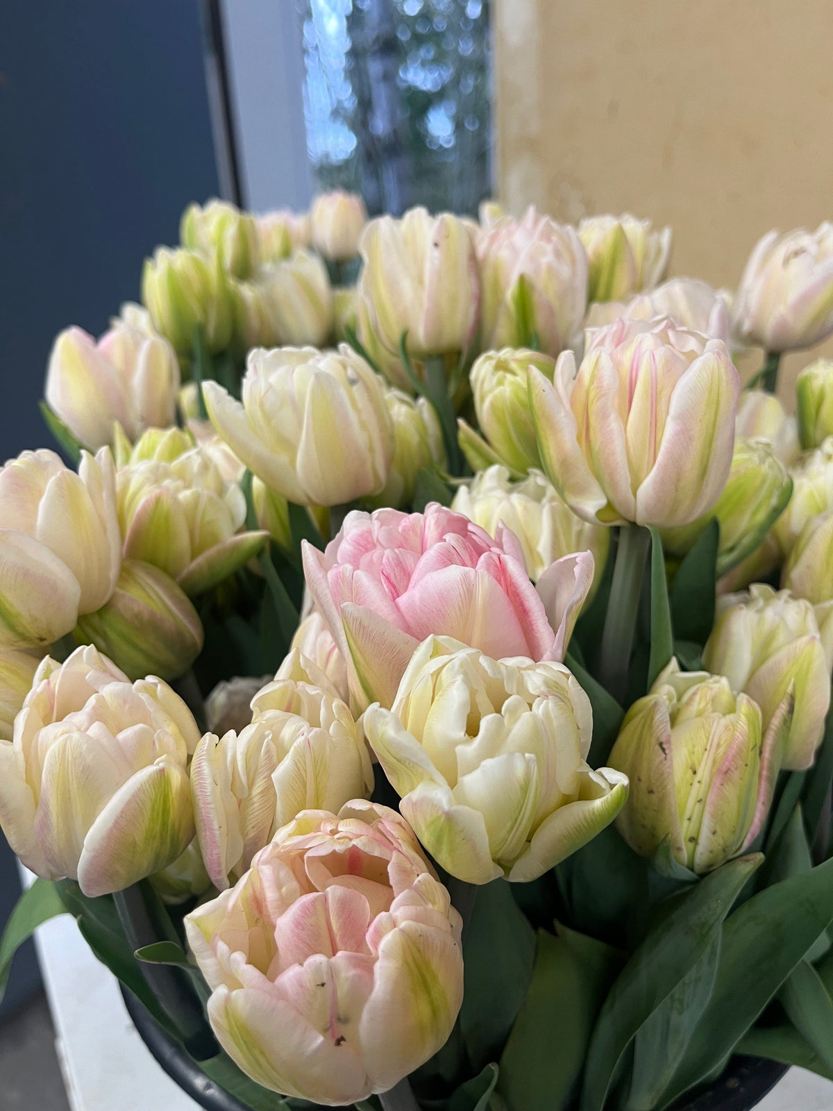 2026 Fancy Tulip Subscription, bouquet subscription from Bellingham Flower Farm, additional photo