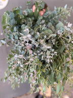 Just Greenery Bucket, DIY flower bucket from Bellingham Flower Farm, additional photo