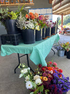 Bouquet Making Workshop at Bellingham Flower Farm, additional photo