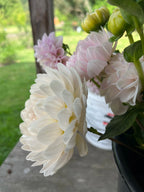 Kelgai Ann dahlia flower, another view of the bloom