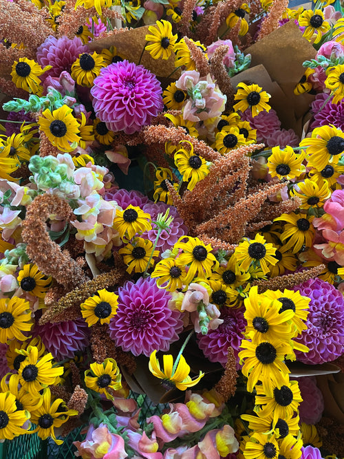 2026 Full Season CSA, Bellingham Flower Farm
