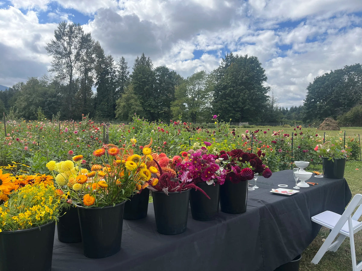 Wedding Floral Workshop, DIY flower bucket from Bellingham Flower Farm, alternate view