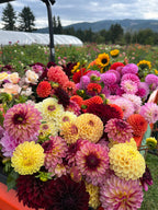 Bloom Bucket, DIY flower bucket from Bellingham Flower Farm, additional photo
