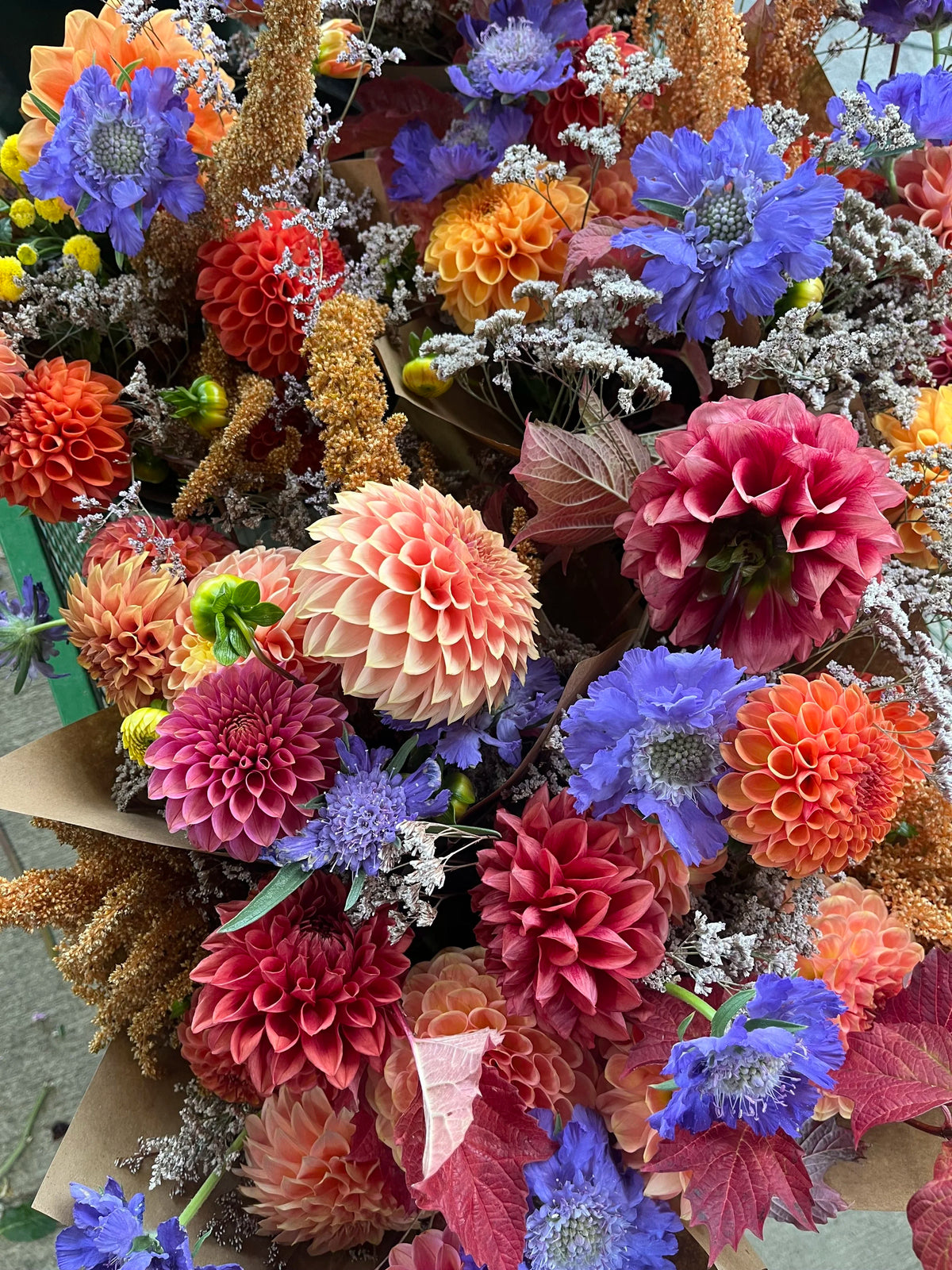 2026 Fall Bouquet Subscription, bouquet subscription from Bellingham Flower Farm, additional photo