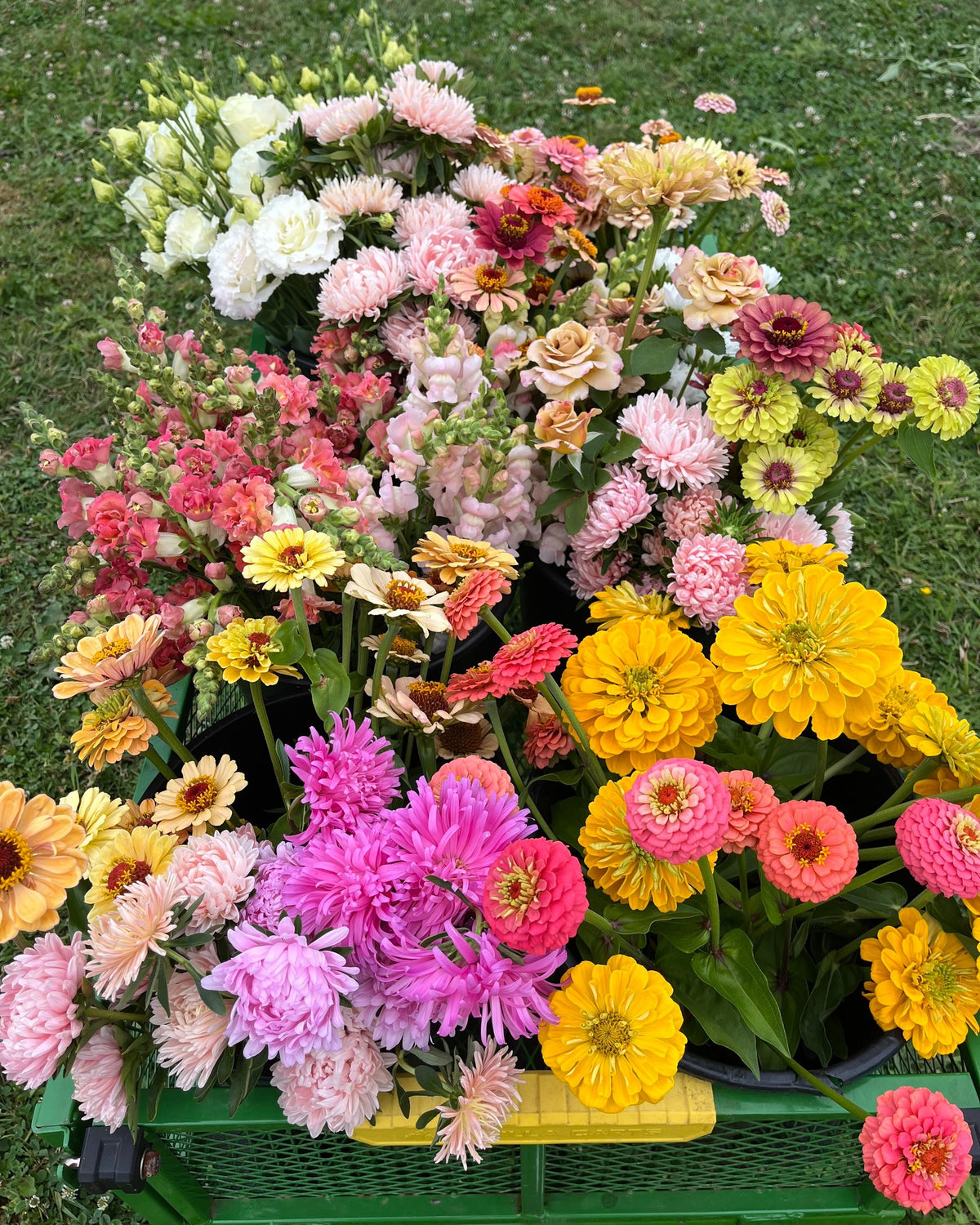 Bloom Bucket, DIY flower bucket from Bellingham Flower Farm, additional photo