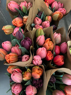 2026 Fancy Tulip Subscription, bouquet subscription from Bellingham Flower Farm, additional photo