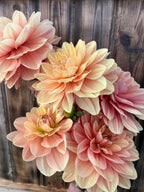 A cluster of large dahlia flowers in soft peach, pink, and cream tones, photographed against a rustic dark wood plank background.