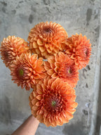 Ultimate Cut Flower Pack dahlia flower, another view of the bloom